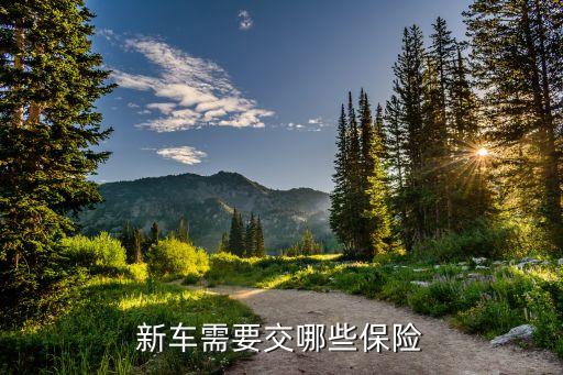 現(xiàn)在買車要交什么險，新車需要交哪些保險
