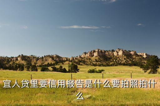 宜人貸征信問什么意思，在宜人貸上申請貸款要不要看征信