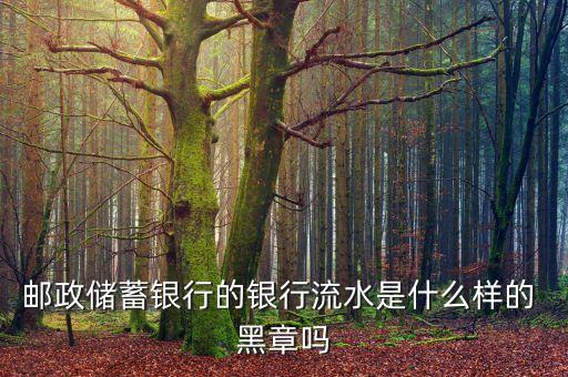 郵政儲(chǔ)蓄銀行的銀行流水是什么樣的 黑章嗎