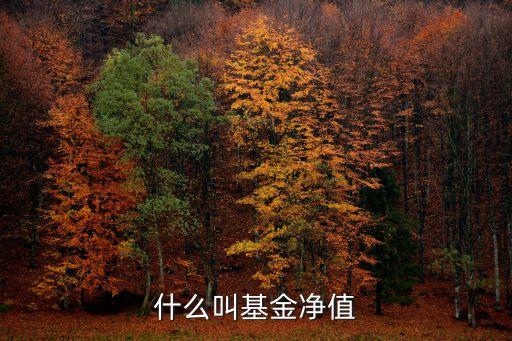 什么叫基金凈值