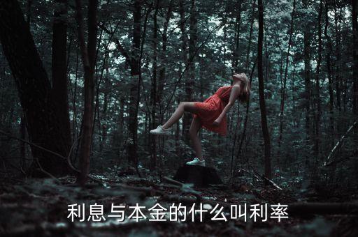 利息與本金的什么叫做利率，利息與本金的什么叫利率