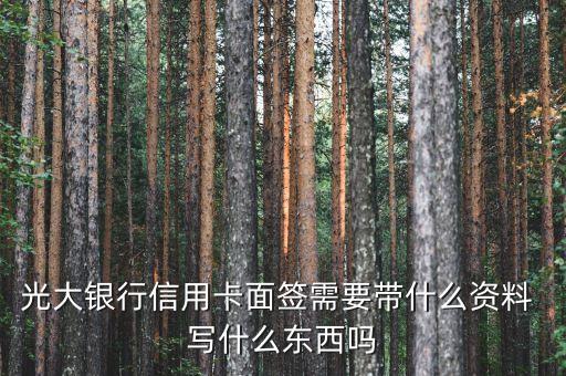 光大銀行信用卡面簽什么資料，北京光大銀行信用卡面簽需要什么