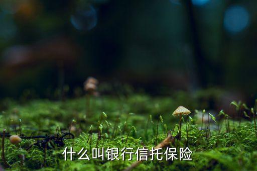 什么叫銀行信托保險