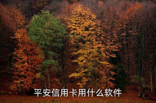 平安信用卡有什么軟件，平安信用卡用什么軟件
