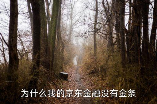 為什么我的京東金融沒有金條