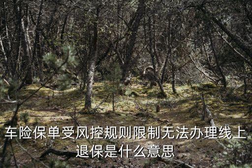 汽車風(fēng)控是什么意思，汽車金融風(fēng)控子母分離報(bào)警是什么意思