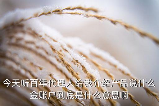 今天聽百年代理人給我介紹產(chǎn)品說什么金賬戶到底是什么意思啊