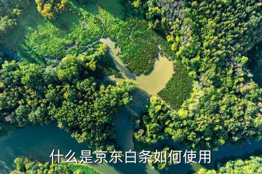 京東白條支付是用什么，白條閃付是什么