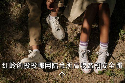 紅嶺創(chuàng)投投哪網(wǎng)陸金所高收益和安全哪個(gè)