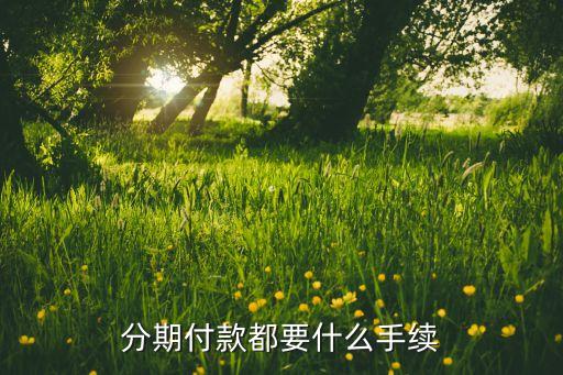 分期付款需要什么手續(xù)，分期付款都要什么手續(xù)