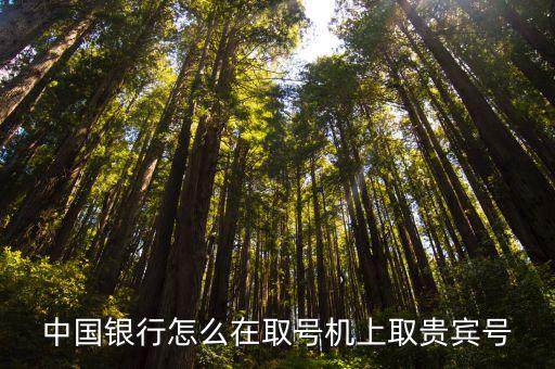 中國銀行怎么在取號(hào)機(jī)上取貴賓號(hào)