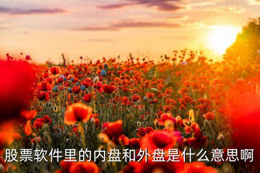股票的內(nèi)盤和外盤是什么意思，股票的內(nèi)盤外盤是什么意思