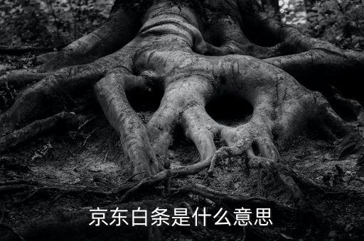 分期白條是什么意思，任分期里面的打白條是什么意思