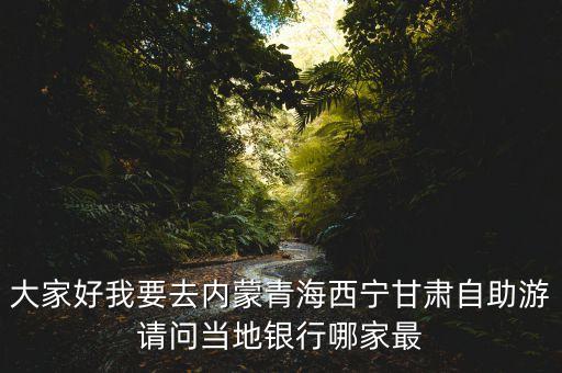 大家好我要去內(nèi)蒙青海西寧甘肅自助游請問當(dāng)?shù)劂y行哪家最