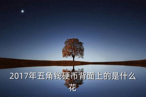 2017年五角錢硬幣背面上的是什么花