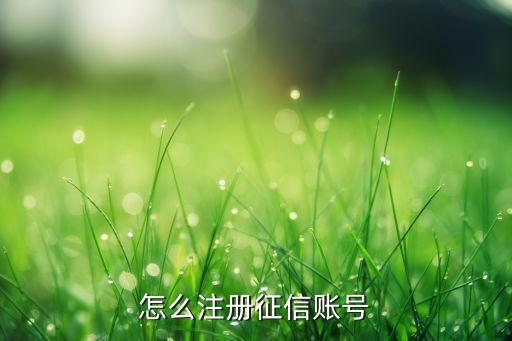 征信注冊需要什么，個人征信怎么注冊需要哪些條件