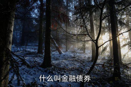 什么叫金融債券