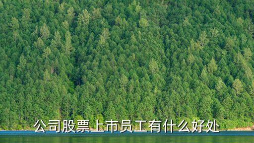 企業(yè)上市員工有什么好處，誰知道公司股票上市員工有什么好處