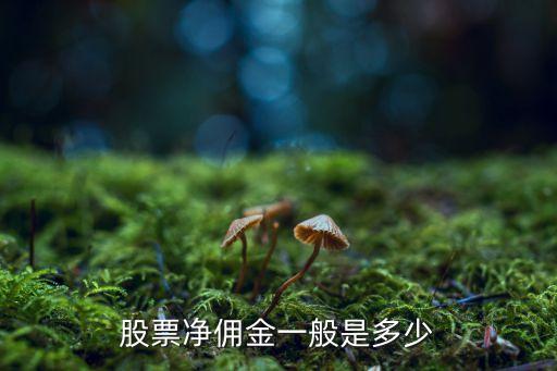 股票凈傭金一般是多少