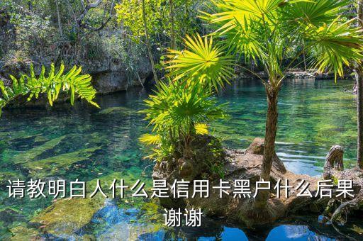 信用卡黑戶有什么影響，如果我成了信用卡黑戶將對(duì)我有哪方面影響