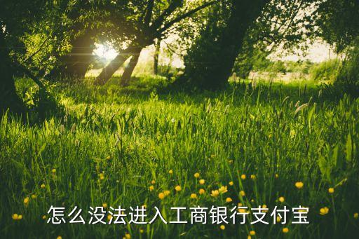 怎么沒法進(jìn)入工商銀行支付寶