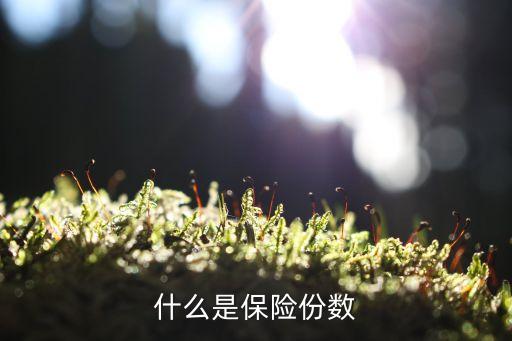 什么是保險(xiǎn)份數(shù)