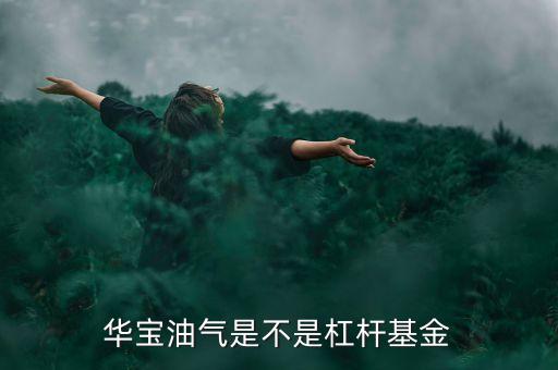 華寶油氣什么基金凈值，華寶標(biāo)普石油指數(shù)當(dāng)天凈值去哪察