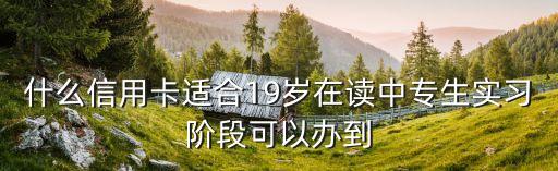 什么信用卡適合19歲在讀中專生實習階段可以辦到
