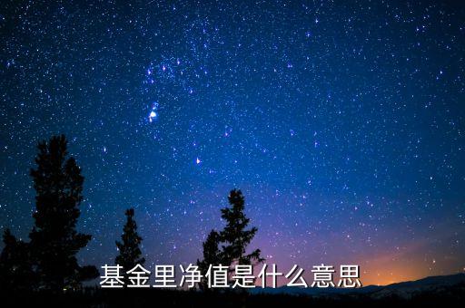 基金凈值是什么，什么叫基金凈值