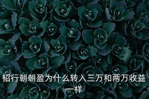 招行朝朝盈為什么轉(zhuǎn)入三萬(wàn)和兩萬(wàn)收益一樣