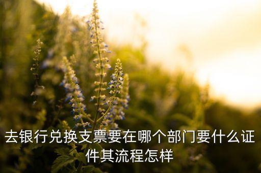 兌換支票需要什么證件，去銀行兌換支票要在哪個(gè)部門要什么證件其流程怎樣