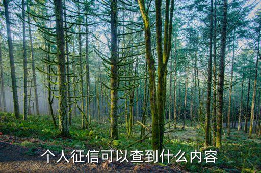 個(gè)人征信可以查到什么內(nèi)容