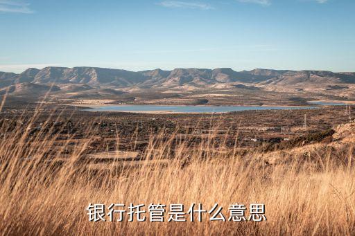 什么是銀聯(lián)托管，銀行托管是什么意思