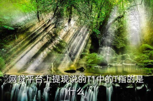 提現(xiàn)t 1是什么意思啊，星期四提現(xiàn)t 1到賬是什么意思