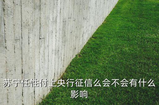 蘇寧任性付上什么征信，蘇寧任性付上央行征信么會不會有什么影響