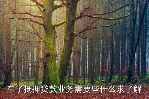 車子抵押貸款業(yè)務需要些什么求了解