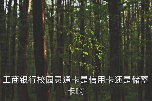 校園銀行卡屬于什么卡，請問校園卡屬于大眾卡么