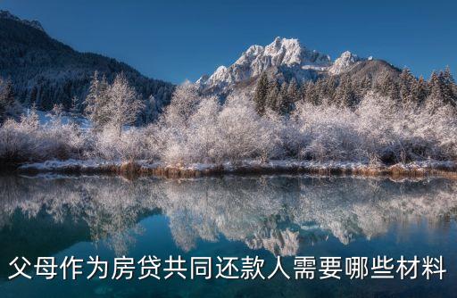共同還貸需要什么材料，共同還款人需要什么文件