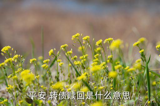 債轉(zhuǎn)股贖回什么意思，轉(zhuǎn)債贖回 啥意思 是利好還是利空有高手解釋一下