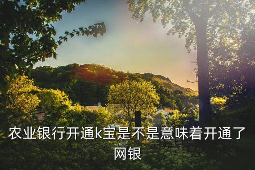 農(nóng)業(yè)銀行開通k寶是不是意味著開通了網(wǎng)銀