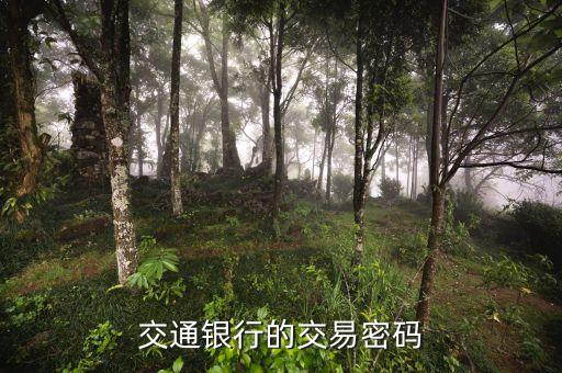 交通銀行的交易密碼