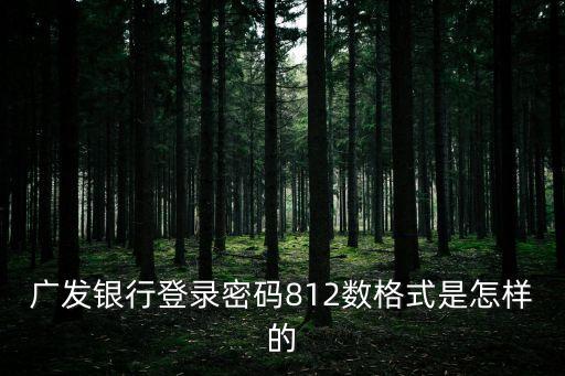廣發(fā)網(wǎng)銀怎樣登錄密碼是什么，網(wǎng)上銀行用戶名和登錄密碼是什么