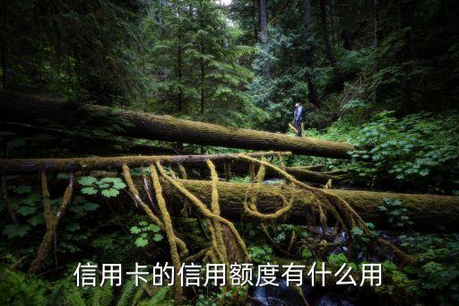 信用卡的信用額度有什么用