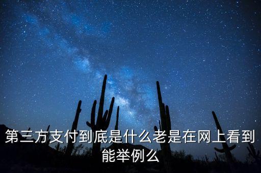 第三方支付到底是什么老是在網(wǎng)上看到能舉例么