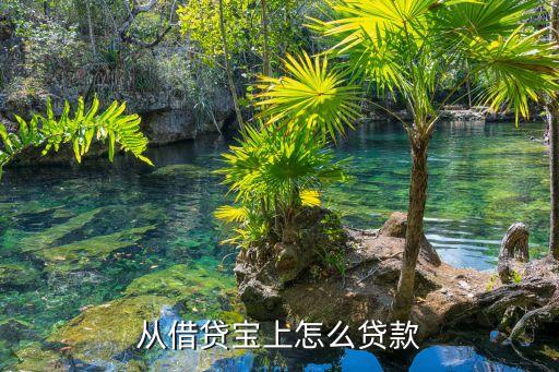 借貸寶怎么才能借款，從借貸寶上怎么貸款