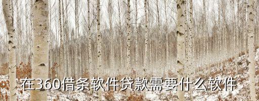 在360借條軟件貸款需要什么軟件