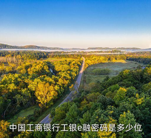 中國(guó)工商銀行工銀e融密碼是多少位