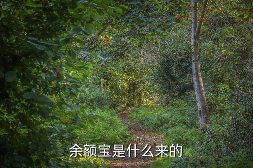 余額寶是什么來的