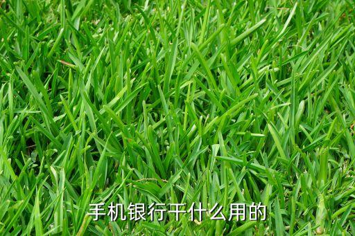 手機(jī)銀行干什么的，手機(jī)銀行是干什么用的