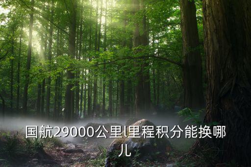 國航29000公里l里程積分能換哪兒